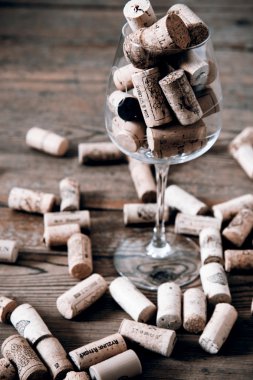 Vintage mantar ve cam