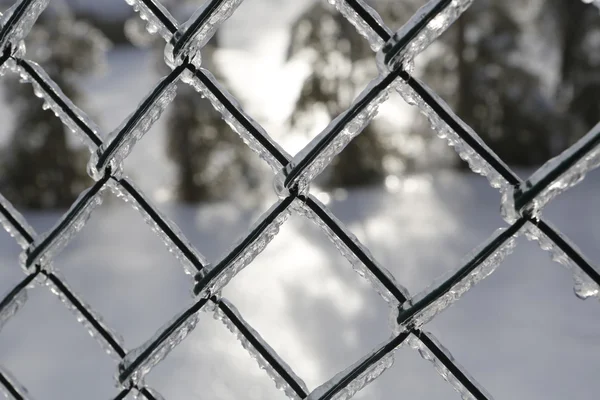 Cerca congelada - neve branca — Fotografia de Stock