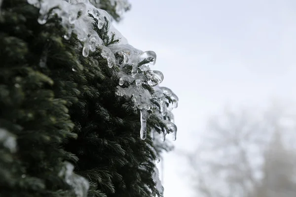 Vinterlandskap - snö och is — Stockfoto