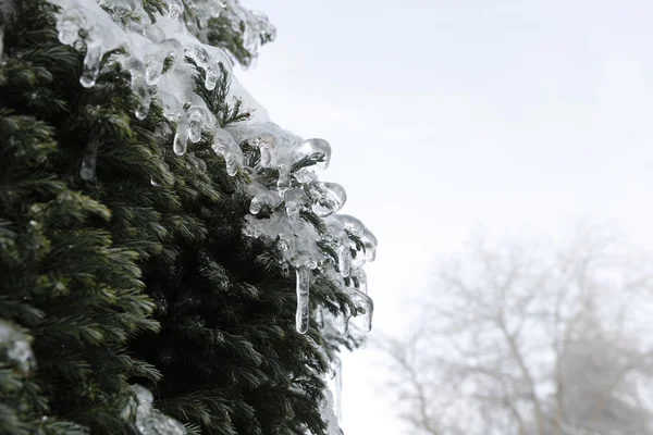 Vinterlandskap - snö och is — Stockfoto