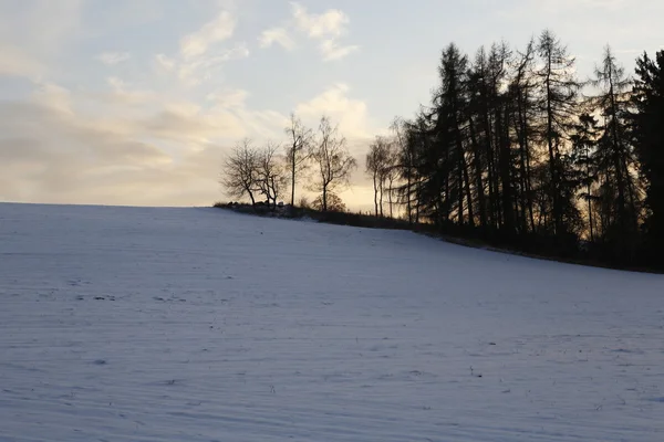 Paisaje invernal - nieve y hielo —  Fotos de Stock