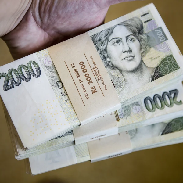 A pénz - nagy halom bankjegyek kezében csomag — Stock Fotó