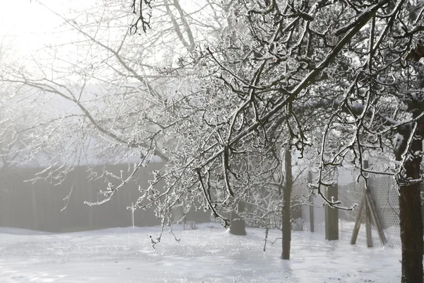 Paisagem de inverno - neve — Fotografia de Stock