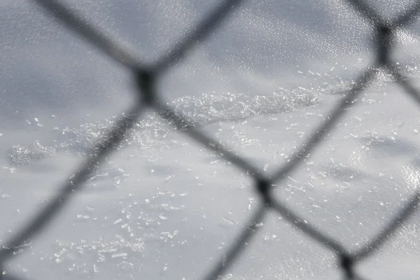 Clôture gelée - neige blanche — Photo