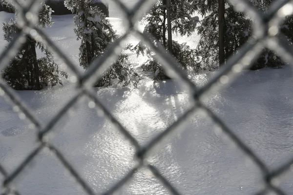 Cerca congelada - neve branca — Fotografia de Stock