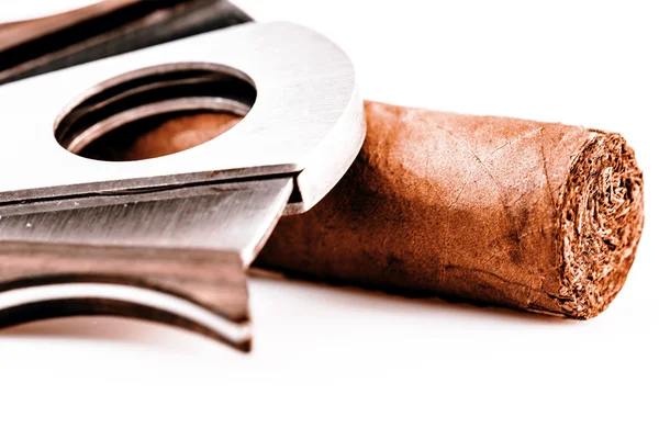 Cigar and cutter on a white background — Stock Photo, Image