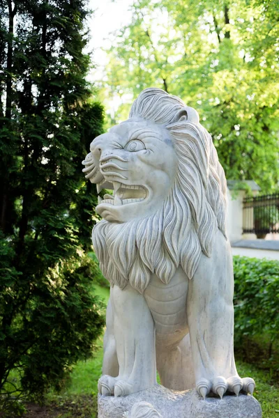 白い大理石獅子像 — ストック写真