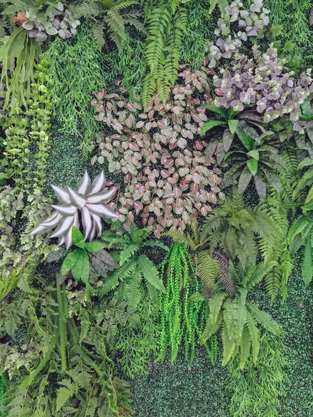 Many beautiful artificial green plant decoration on the wall and make it look fresh and beautiful. Decorate the garden with fake plants on the wall of the house for nature background. Selective focus.