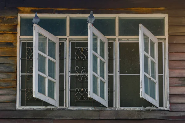 Tauben Auf Altem Holzfenster Des Ehemaligen Holzhauses — Stockfoto