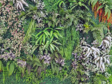 Duvarda bir sürü güzel yapay yeşil bitki süsü var ve onu taze ve güzel gösteriyor. Bahçeyi evin duvarına sahte bitkilerle dekore et, doğa arka planı için. Seçici odak.