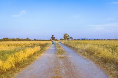 Akşamları pirinç tarlalarında koşan ve egzersiz yapan bir kadının arka görüntüsü..