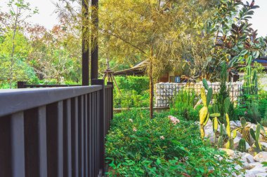 KANCHANABURI, THAILAND - 19 Şubat 2021: PTT benzin istasyonundaki Kafe Amazon kahve dükkanının güzel bahçe dekorasyonu. Cafe Amazon, PTT Kamu Şirketi Limited 'in sahibi olduğu Tayland kahveleri zinciri..