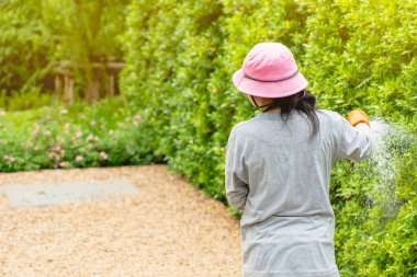 Bahçe sulama hortumunda şapka takan kadın bahçıvanın arka manzarası çimlere ve ağaç yapraklarına su sıçratıyor. Yavaş yaşam, bahçecilik hobisi. Çiçekleri sulamak günlük temizlik rutini.