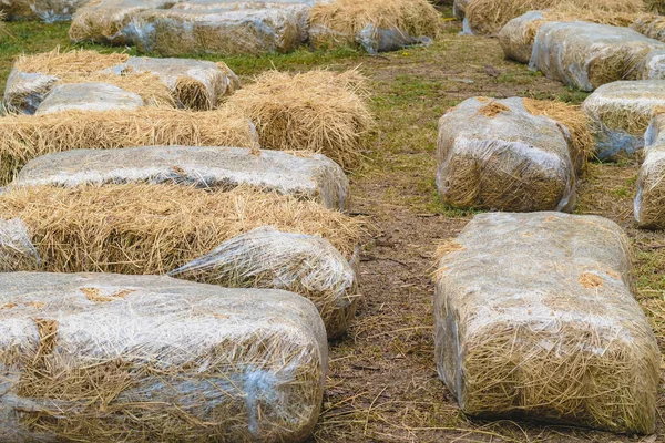 Asientos Mesas Hechos Pacas Paja Para Eventos Fiestas Colocadas Patio — Foto de Stock