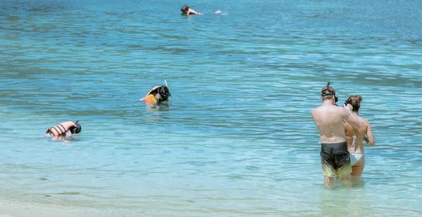 Gentleman Helped Wear Glasses His Lover Snorkelling See Beautiful Coral — Stock Photo, Image