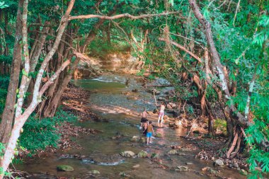 Bir grup çocuk, Tayland, Kanchanaburi 'deki Hin Baba kaplıcasında derenin doğasını keşfetmek için yürüyorlar..