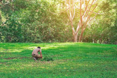 Asyalı bir adamın arka görüntüsü parkta kayıp bir cüzdanı aramak için duruyor. Adam endişeli bir şekilde bahçede kayıp parçayı bulmaya çalışıyor. Bir şeyler ararken bir şey kaybettim. Kayıp eşya konsepti..