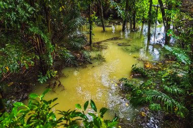 Kahverengi taşkın sularının kaplamaları ve yarımlarca evi doldurması ve selden kaynaklanan ciddi bir felaketi gösteriyor. Ev kirli, yüksek sel suyuyla çevrili. Sel, yerleşim alanındaki bahçeyi ele geçirdi..