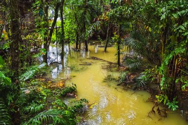 Kahverengi taşkın sularının kaplamaları ve yarımlarca evi doldurması ve selden kaynaklanan ciddi bir felaketi gösteriyor. Ev kirli, yüksek sel suyuyla çevrili. Sel, yerleşim alanındaki bahçeyi ele geçirdi..