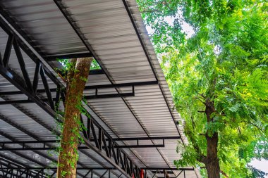 Büyük ağaç dallarının modern endüstriyel çelik çatı yapısındaki deliklerden geçtiği yenilikçi çevre dostu mimari tasarım. Yenilikçi sürdürülebilir yapı, doğa koruma kavramı.