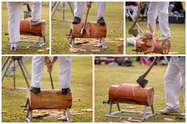 Bir ülke gösterisindeki odun kesme yarışmasının kolajı