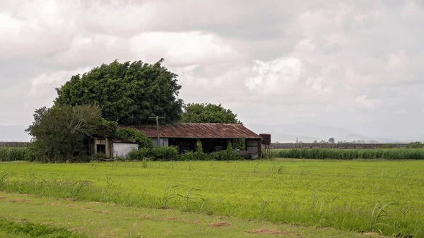 Ein Alter Baufälliger Schuppen Steht Auf Einem Feld Das Von — Stockfoto