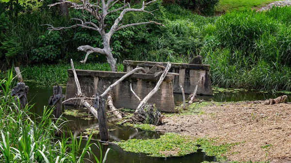 Die Überreste Einer Alten Brücke Die Einst Einen Ländlichen Bach — Stockfoto