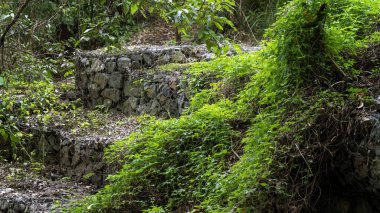Etrafı bitkilerle çevrili tel ağlarla örülmüş taşlardan (gabionlar) oluşan teraslı duvarlar.