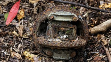 Eski hurda ve paslı konut vagonu parçası ormanda çürümeye bırakılmış.