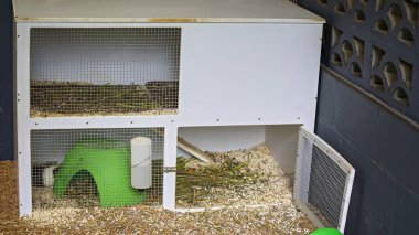 A timber and wire guinea pig cage filled with straw clipart