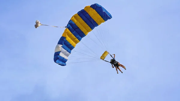 Tandem Skydivers Clear Blue Sky Parachute Open Ready Land — Stock Photo, Image