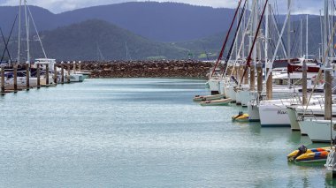 Airlie Beach, Queensland, Avustralya - Şubat 2021: Lüks yatlar sakin bir marinaya demirledi