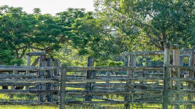 Kırsal alanda çitle çevrili boş sığır ağılları