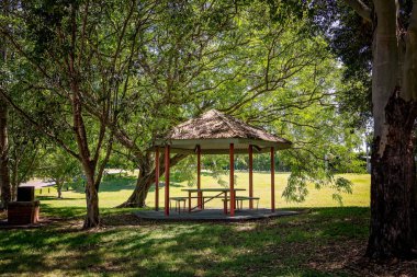 Açık hava parkında barbekü yapan bir piknik gölgesi.