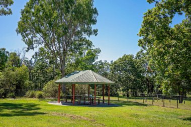 Açık hava parkında barbekü yapan bir piknik gölgesi.