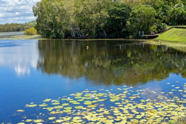 Yüzeyinde su yansımaları olan sulak alanlar.