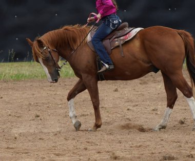Bir kovboy kız tarafından binilirken at suratındaki ifadeyi kapat.