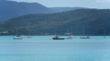 Airlie Beach, Queensland, Avustralya - Nisan 2021: Tekneler yamaçta bulunan bir su koyuna demirledi
