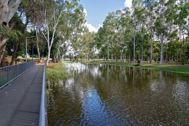 Kamu parkının ortasındaki bir göl boyunca yürüme