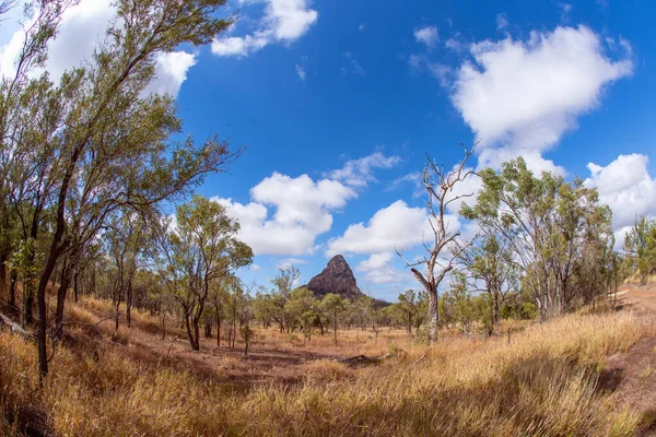 Wolfgang Peak Cerca Clermont Australia Con Campo Sorgo Primer Plano — Foto de Stock