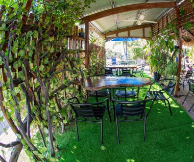Rubyvale, Queensland, Avustralya - Mayıs 2021: Kaba oyulmuş ahşap masaları ve balık gözü merceğiyle kıvrımlı sarmaşıklı sarmaşıkları olan bir kafe