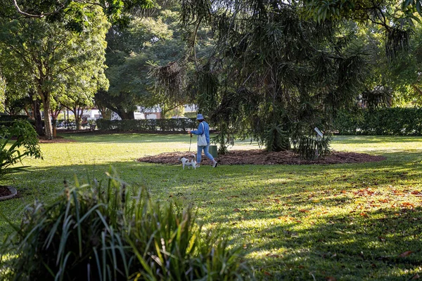 Mackay Queensland Australia Czerwiec 2021 Kobieta Wyprowadzająca Psa Ogrodach Botanicznych — Zdjęcie stockowe