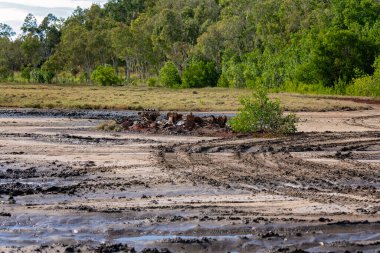Çamurda tekerlek izleriyle çevrili, hurdaya dönmüş bir arabanın kalıntıları.