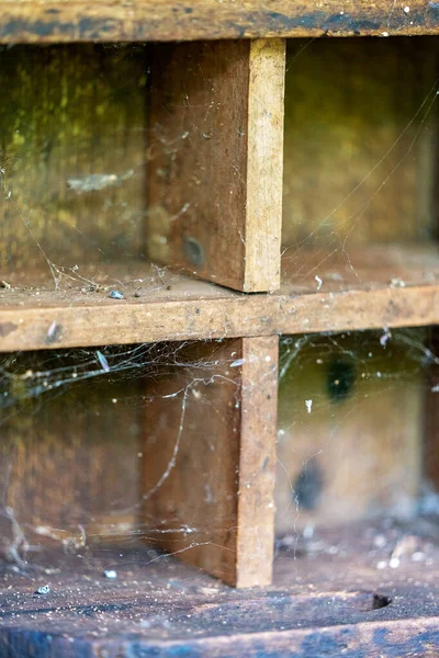 Caja Compartimento Llena Telaraña Sucia Primer Plano —  Fotos de Stock