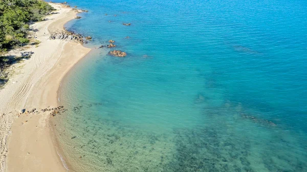無人機で捉えられた熱帯植物を持つ砂浜の干潮時における海の澄んだ青い水の空中ビュー — ストック写真