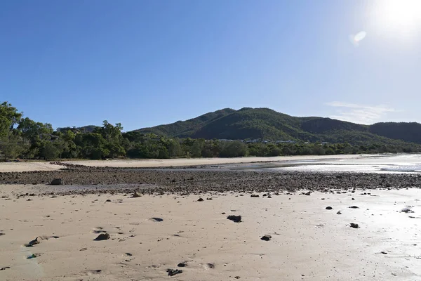 Stoney Beach Low Tide Showing Rocks Coastline Houses Background — Foto Stock