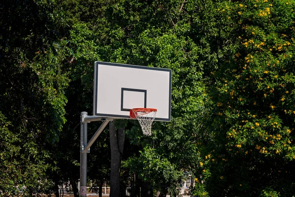 Outdoor Basketball Hoop Foliage Large Trees Imágenes De Stock Sin Royalties Gratis