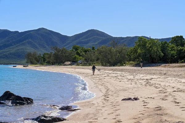 Cape Gloucester Queensland Australia June 2021 Man Walking His Dog — Stockfoto