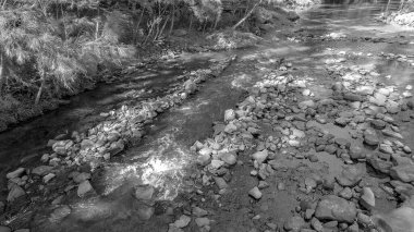 A stoney creek bed with shallow water and thickly wooded shores, rendered in monotone