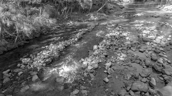 Stoney Creek Bed Shallow Water Thickly Wooded Shores Rendered Monotone — Fotografia de Stock